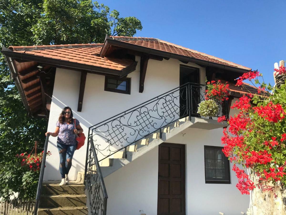 Bed and Breakfast Etno Selo Lelic à Valjevo Extérieur photo